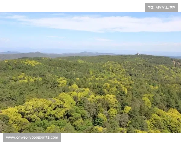 楚雄紫溪山扩建爬坡赛道，新增两个一级爬坡点